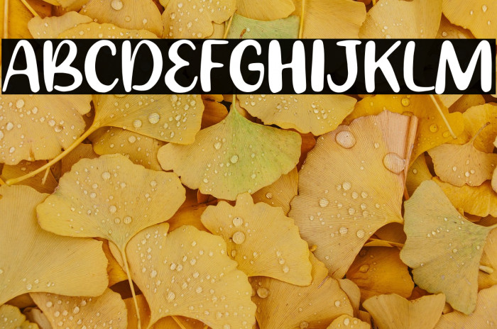 Bright City Example 2