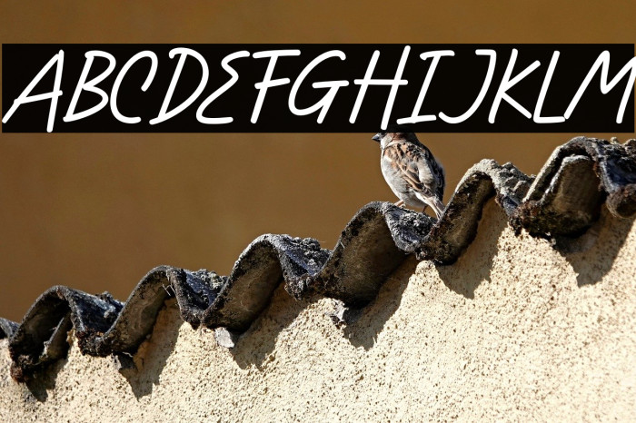 Bright Clones DEMO Example 3