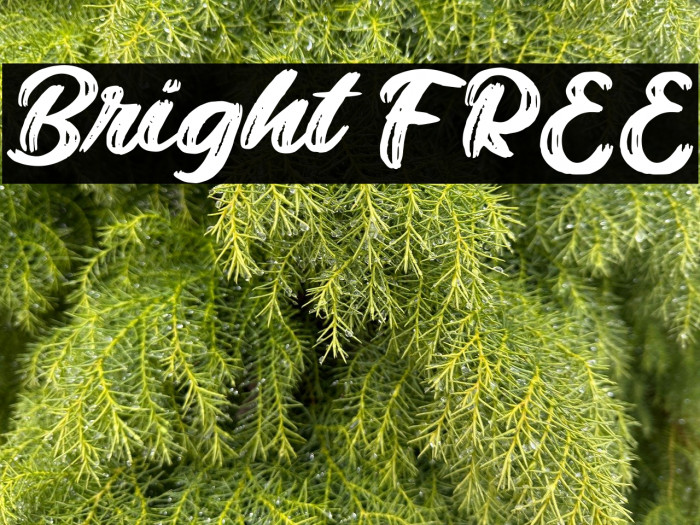 Bright FREE Example 1