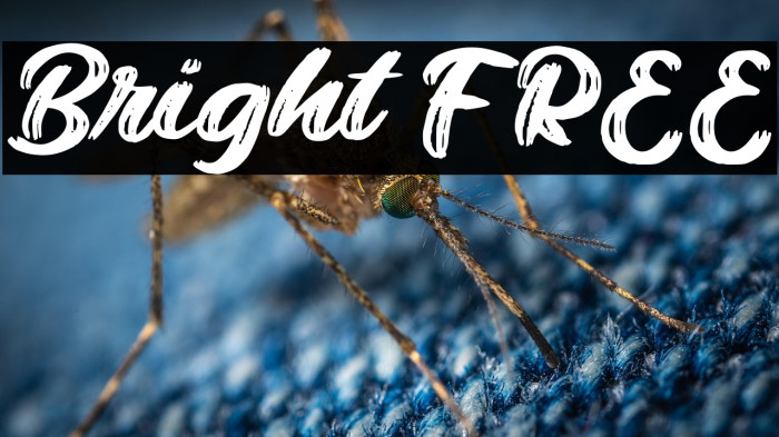 Bright FREE Example 2
