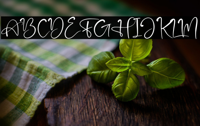 Bright Fresh Example 2