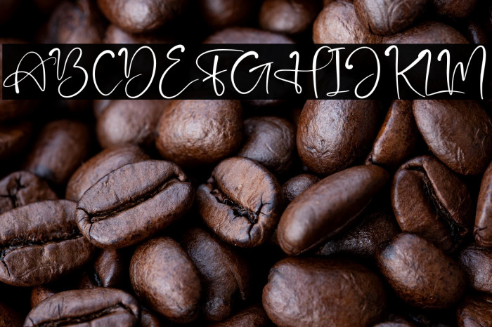 Bright Fresh Example 3