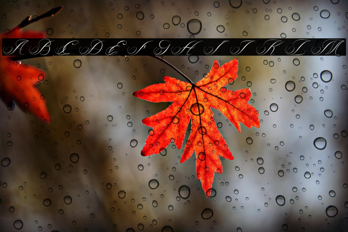 Bright Future Example 3