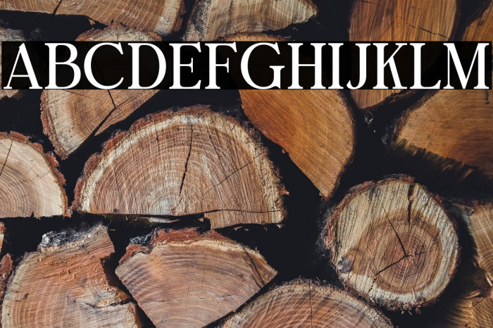 Bright Gesture DEMO Example 1