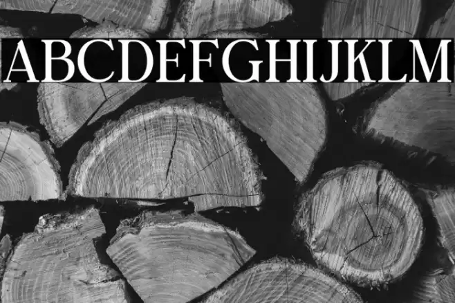 Bright Gesture DEMO Font examples