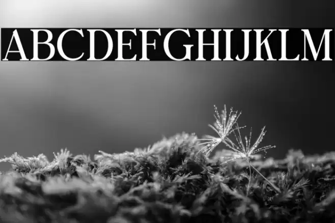 Bright Gesture DEMO Font examples