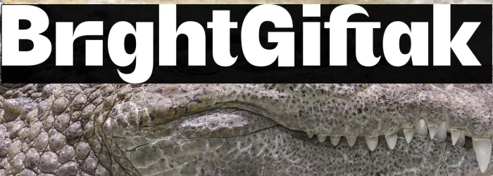Bright Giftak Example 2