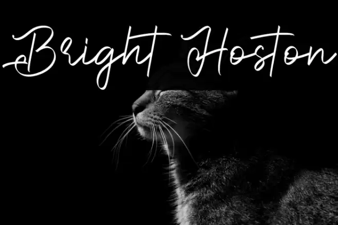 Bright Hoston Font examples