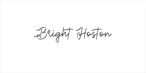 Bright Hoston Logo