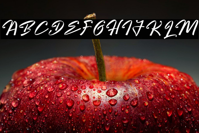 Bright Hunter Example 1