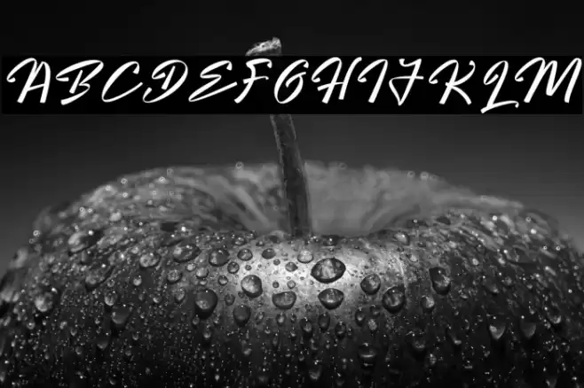 Bright Hunter Polices examples