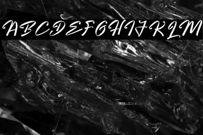 Bright Hunter Polices examples