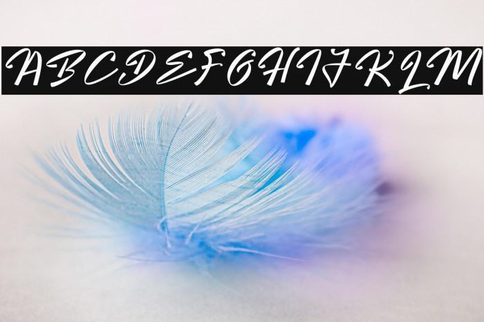 Bright Hunter Example 3