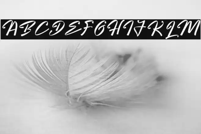 Bright Hunter Polices examples