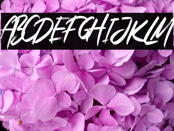 Bright Lantern Example 1