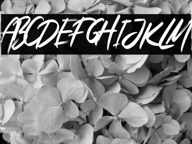 Bright Lantern Font examples