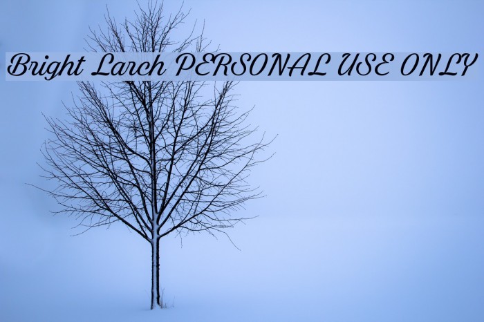 Bright Larch PERSONAL USE ONLY Font examples