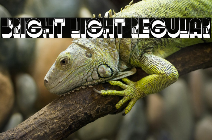 Bright Light Regular Example 2