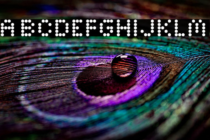 Bright Lights Bold Regular Example 1