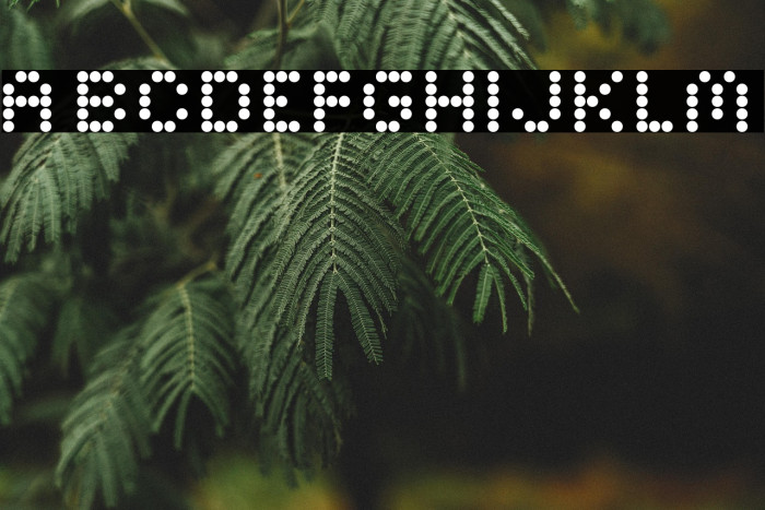 Bright Lights Bold Regular Example 2