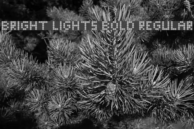 Bright Lights Bold Regular Font examples