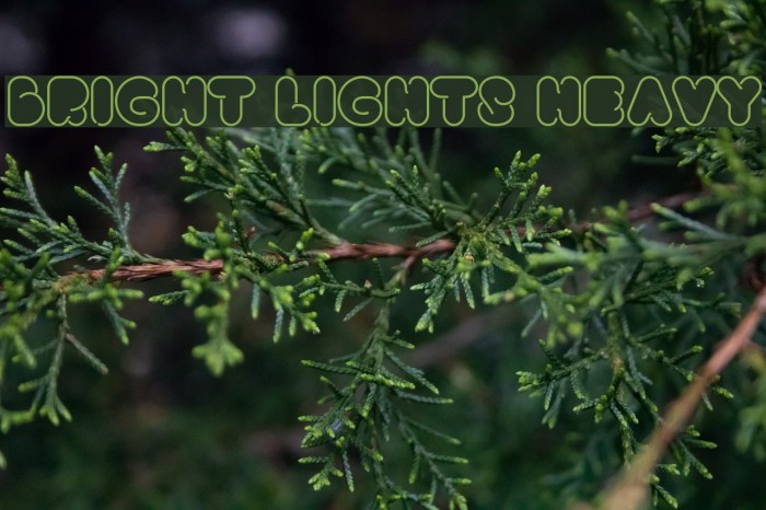 Bright Lights Heavy Font examples