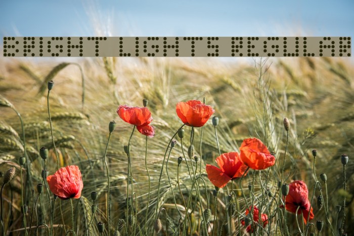 Bright Lights Regular Font examples
