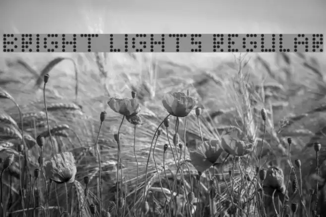 Bright Lights Regular Font examples