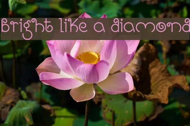 Bright Like A Diamond Example 1