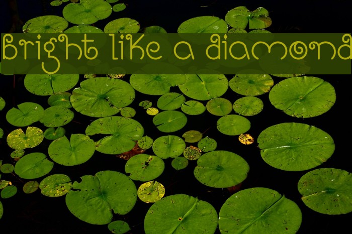 Bright Like A Diamond Font examples
