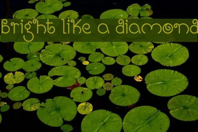 Bright Like A Diamond Example 2