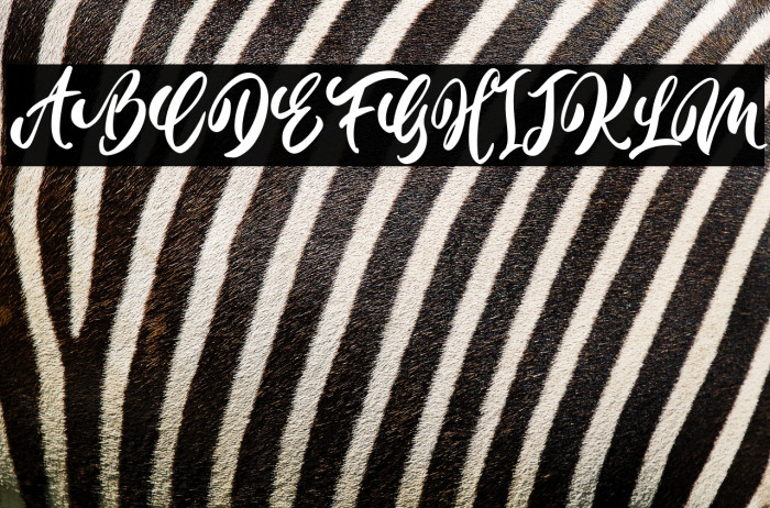 Bright Monday Example 3