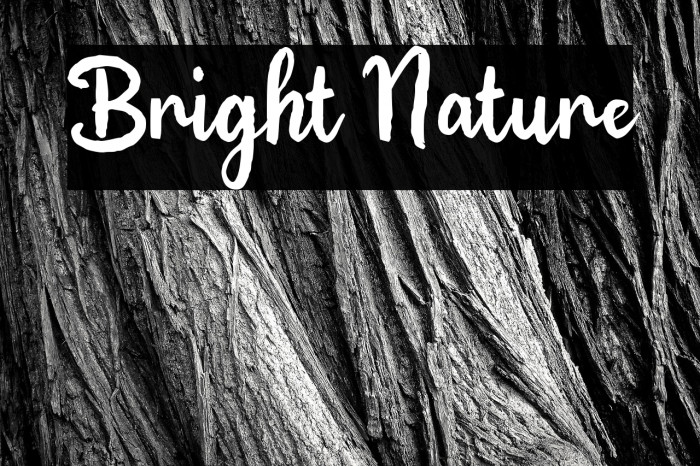 Bright Nature Example 1