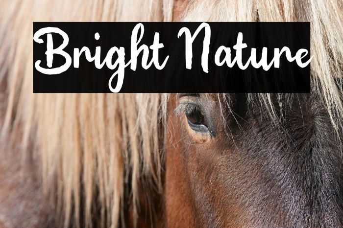 Bright Nature Example 2