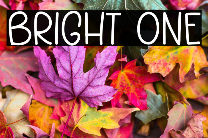 Bright One Example 1