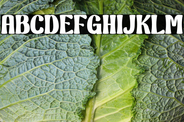 Bright Peony Personal Use Example 1