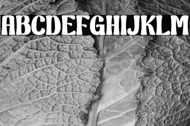 Bright Peony Personal Use フォント examples