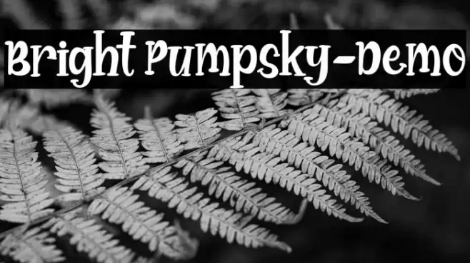 Bright Pumpsky-Demo Font examples