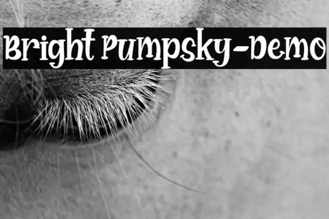 Bright Pumpsky-Demo Font examples