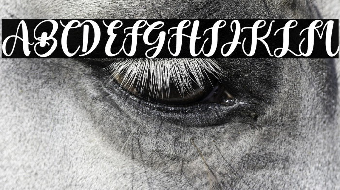 Bright Rainbow Example 2