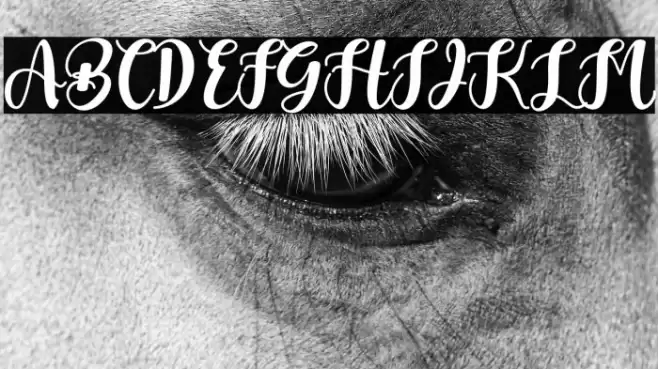 Bright Rainbow Font examples