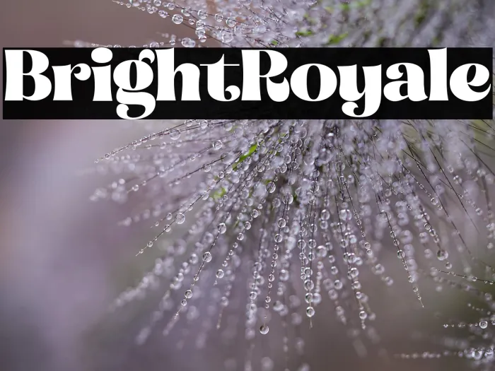 Bright Royale Example 1