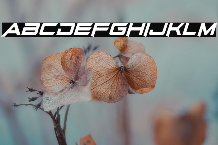 Bright Star Example 1