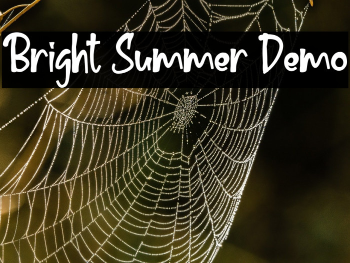 Bright Summer Demo Example 3