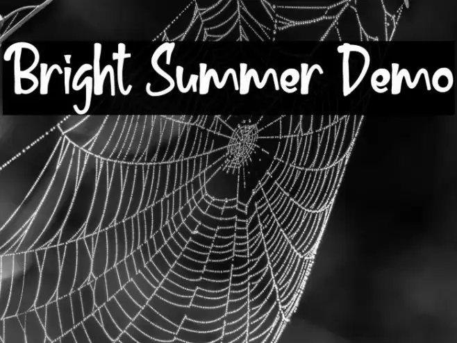 Bright Summer Demo Font examples