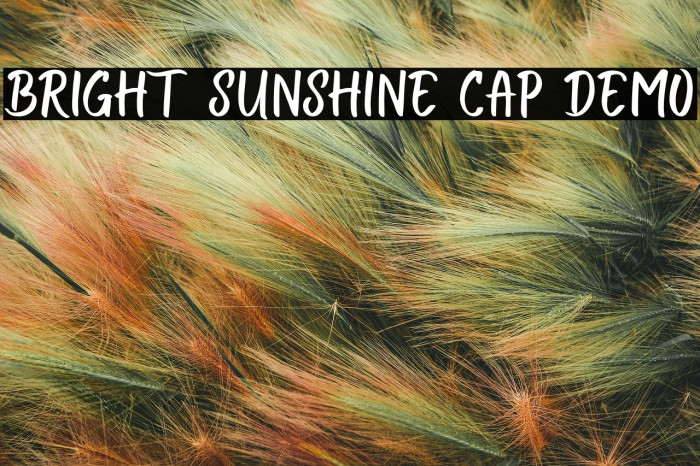 Bright Sunshine Cap Demo Example 3