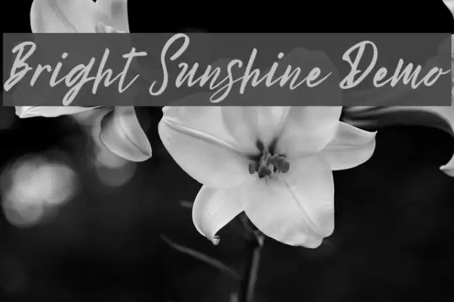 Bright Sunshine Demo Font examples