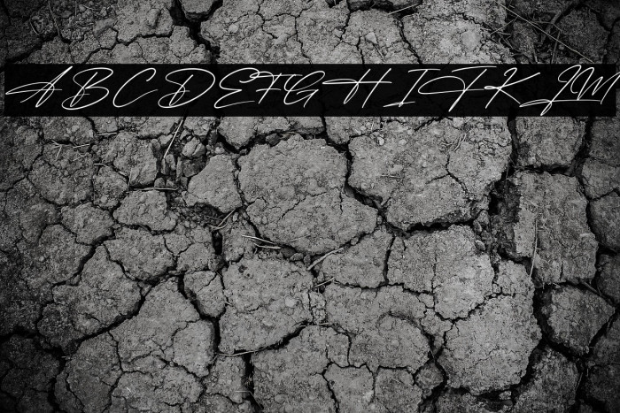 Bright Sunshine Example 1