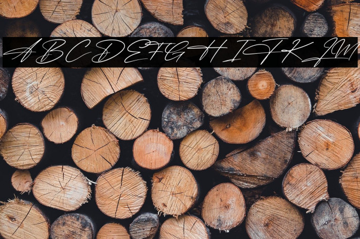 Bright Sunshine Example 3