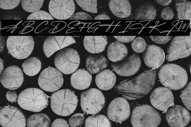 Bright Sunshine Fuentes examples